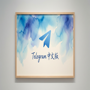 纸飞机中文版国内如何下载安装？最新可用方案（零基础） - Telegram 官网