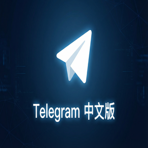 纸飞机中文版Premium会员功能详细介绍（硬核干货） - Telegram 官网